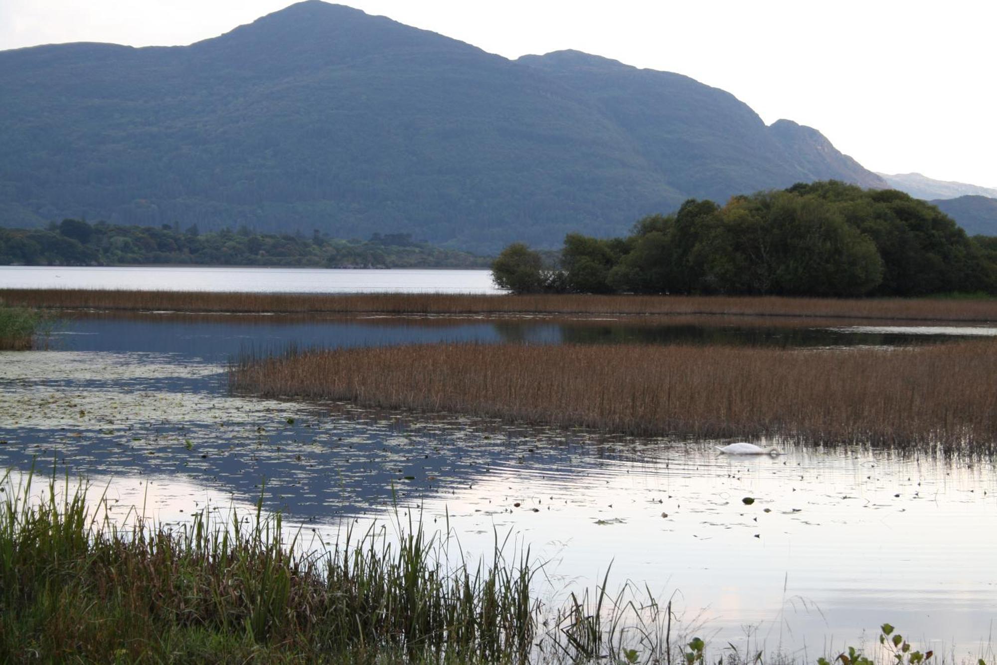 Innisfallen Holiday Homes By Trident Holiday Homes Killarney Oda fotoğraf